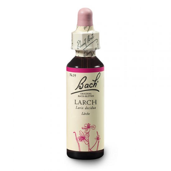 Bachova esencia 19 - Larch Bachova esencia 19 - Larch
