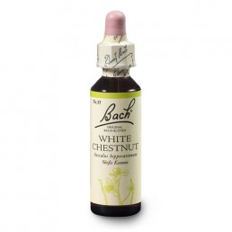 Bachova esencia 35 - White Chestnut Bachova esencia 35 - White Chestnut