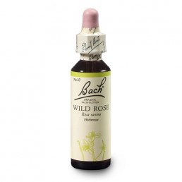 Bachova esencia 37 - Wild Rose Bachova esencia 37 - Wild Rose