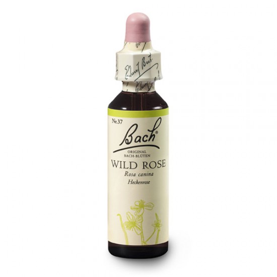 Bachova esencia 37 - Wild Rose Bachova esencia 37 - Wild Rose