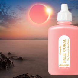 Pomander 17 Svetlý Koralový „Prijatie a spoločenstvo“ Pomander 17 Svetlý Koralový „Prijatie a spoločenstvo“