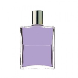 Equilibrium 056 - Saint Germain Equilibrium 056 - Saint Germain