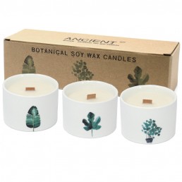 Botanické Sójové Sviečky s Dreveným Knôtom - Citrón & Zemolez Botanické Sójové Sviečky s Dreveným Knôtom - Citrón & Zemolez