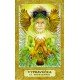 Karty a kniha - Chrysalis Tarot Karty a kniha - Chrysalis Tarot