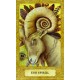 Karty a kniha - Chrysalis Tarot Karty a kniha - Chrysalis Tarot