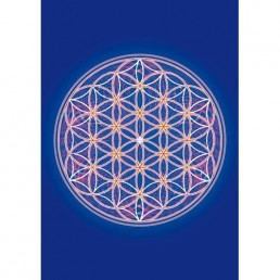 Mandala obrázok - Kvet života Mandala obrázok - Kvet života