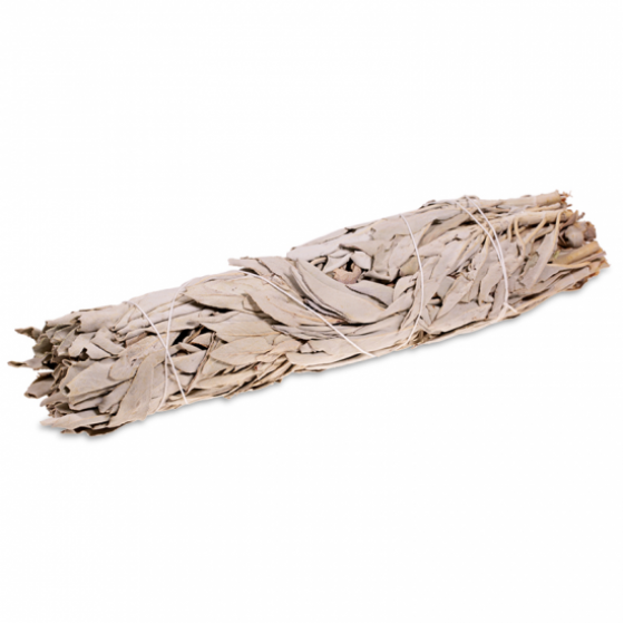 Vykurovadlo - Biela šalvia zväzok L 23cm - nebalený Vykurovadlo - Biela šalvia zväzok L 23cm - nebalený