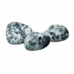 Polodrahokam - Achát Stromový L